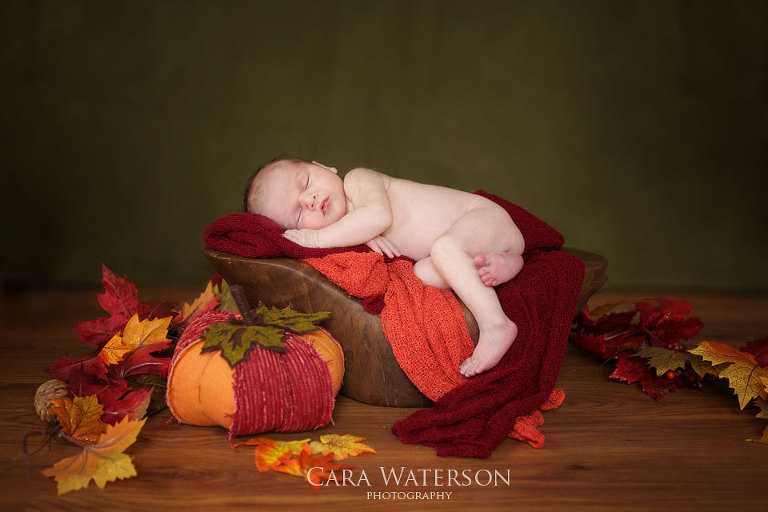 newborn in fall treestump