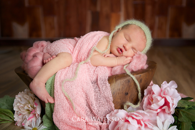 newborn girl in spring