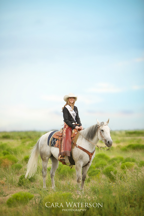 horse in a field