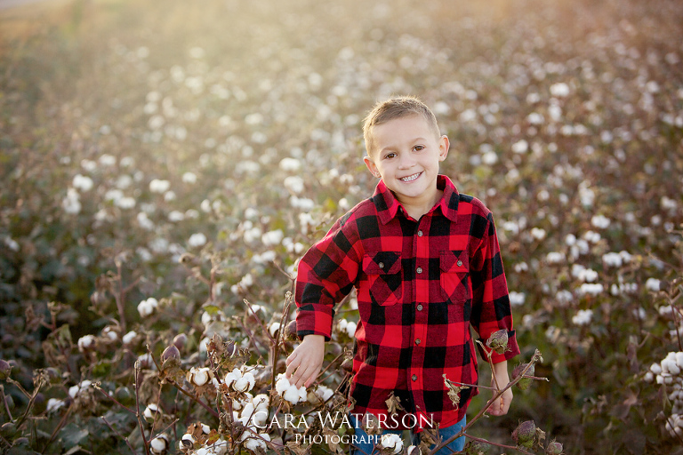 boy in the cotton