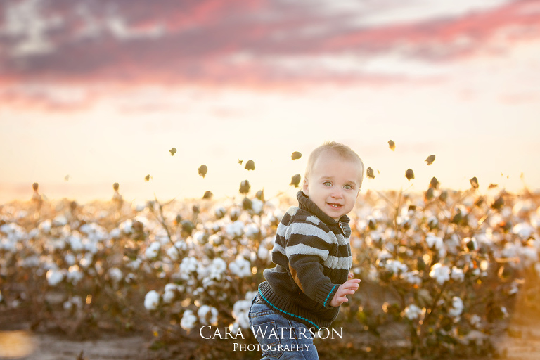 baby playing in cotton