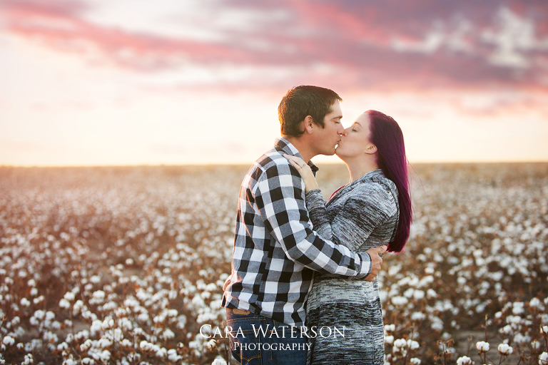 kissing in cotton