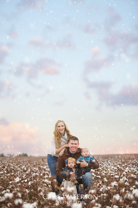 seated family in cotton