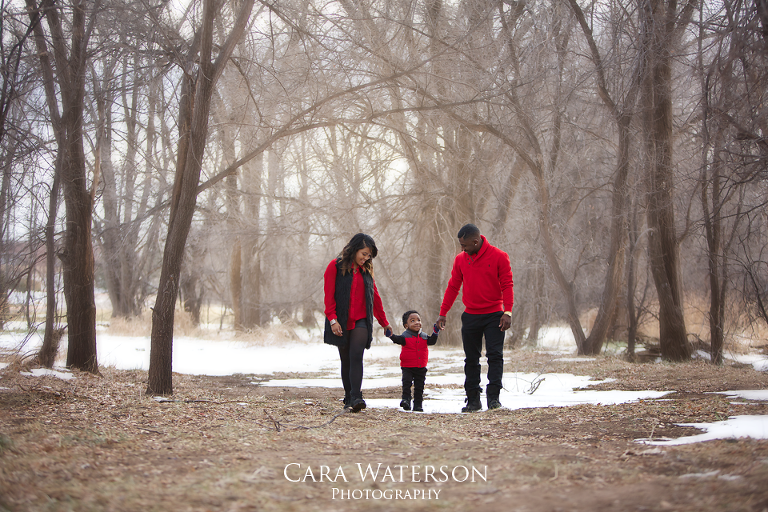 family in the snow