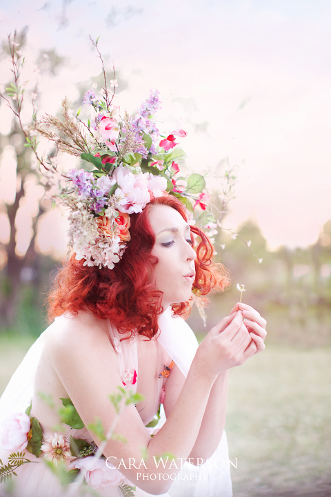 blowing dandelion